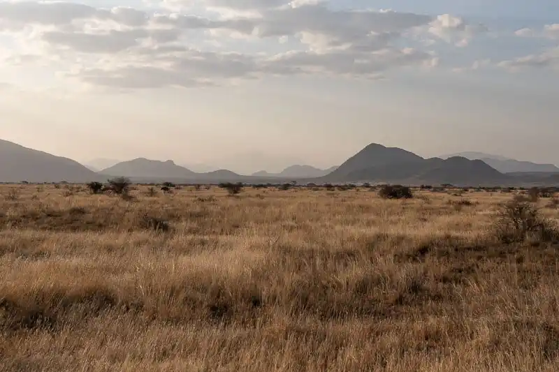 Golden grassland and mountains in Samburu