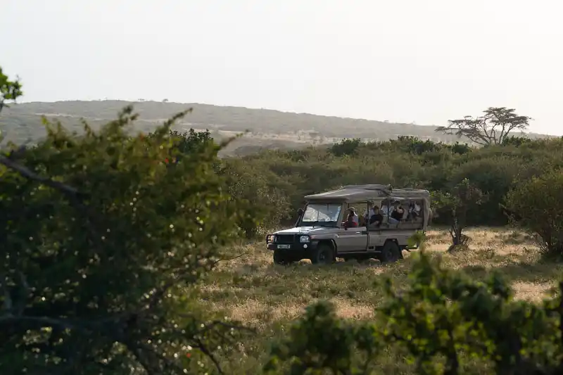 Safari vehicle moving through the bush in the Maasai Mara