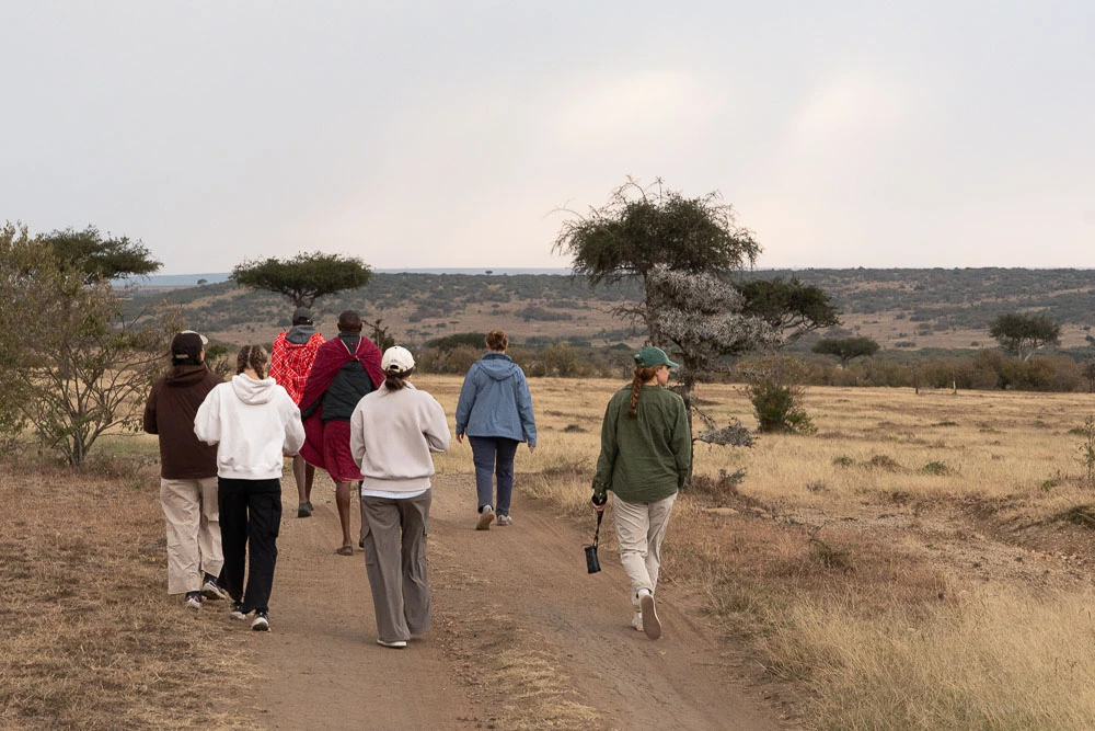 Walking Safaris