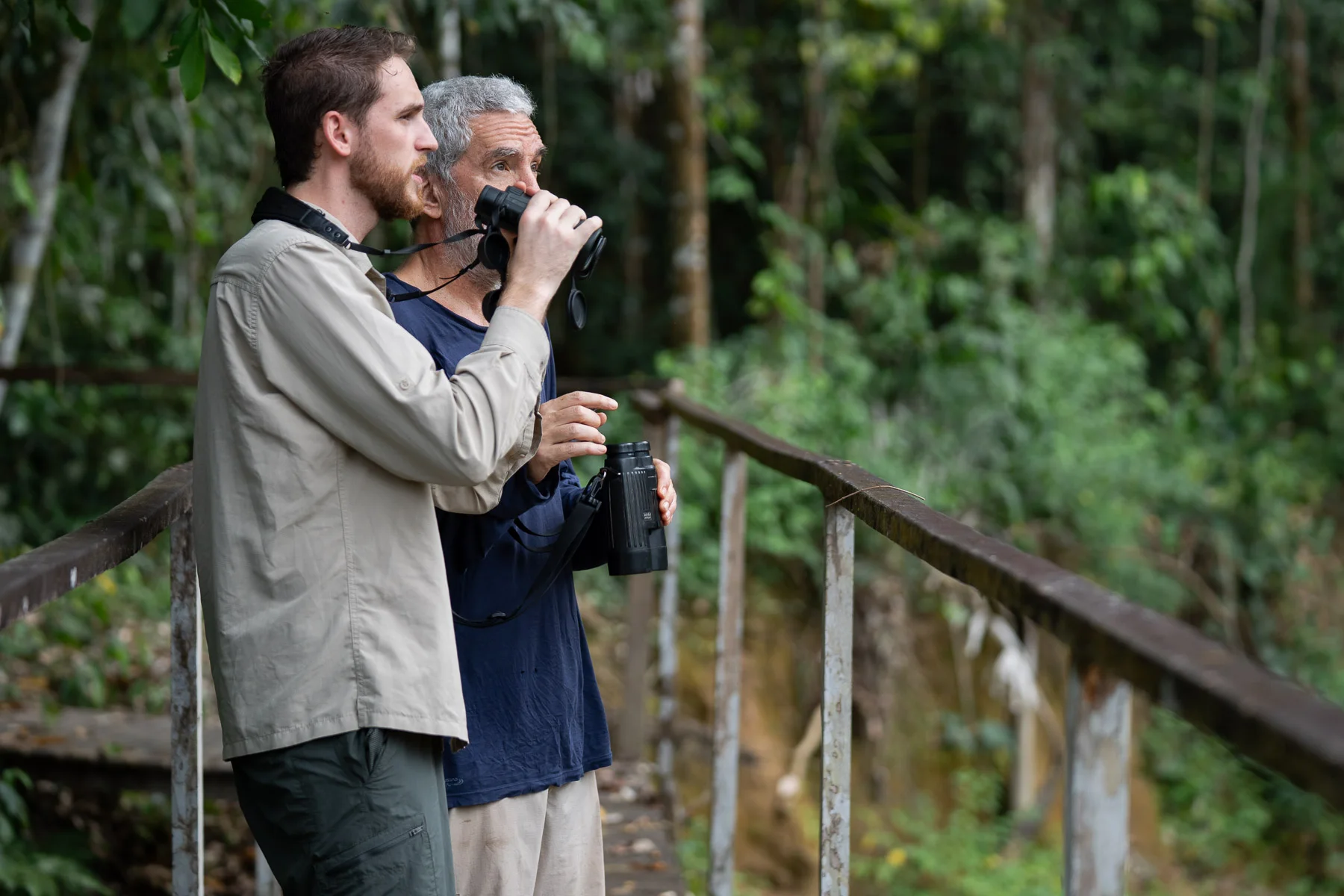A field biologist observing wildlife in their natural habitat