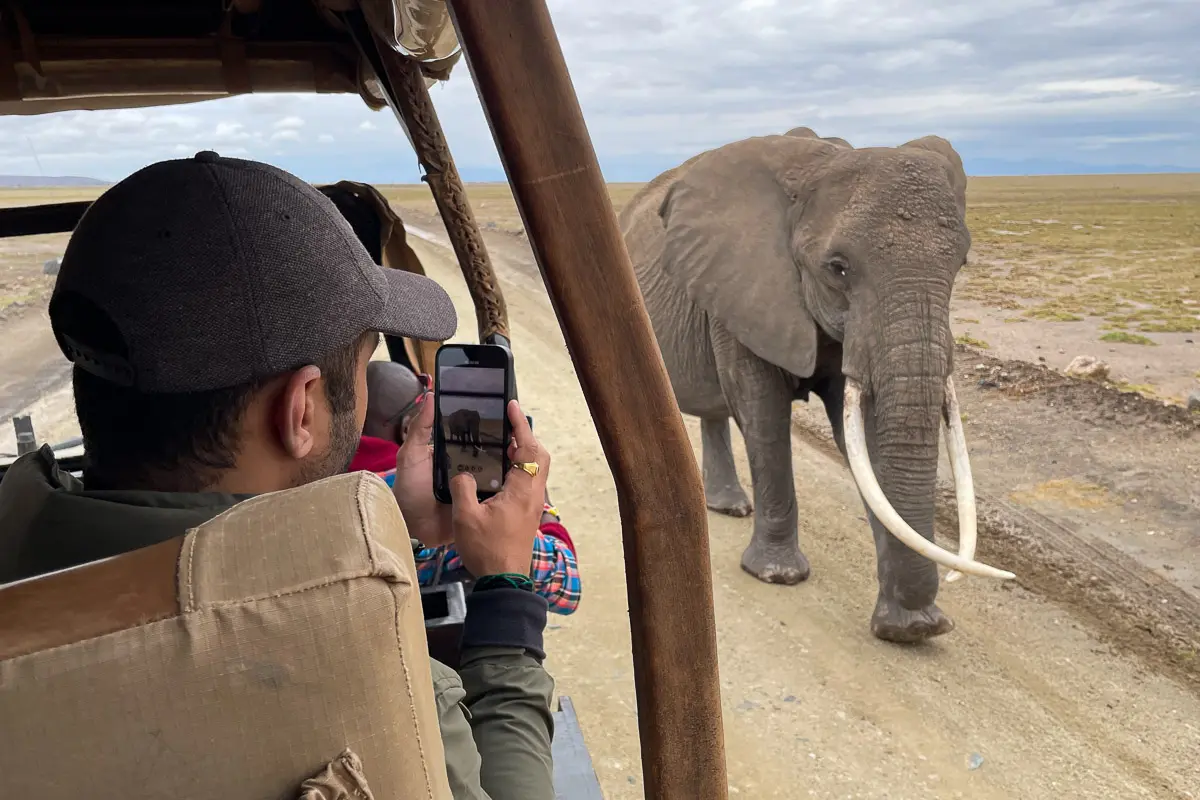 A small group of guests on safari